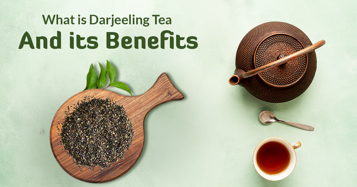 What Is Darjeeling Tea A Guide To The Famous Indian Tea