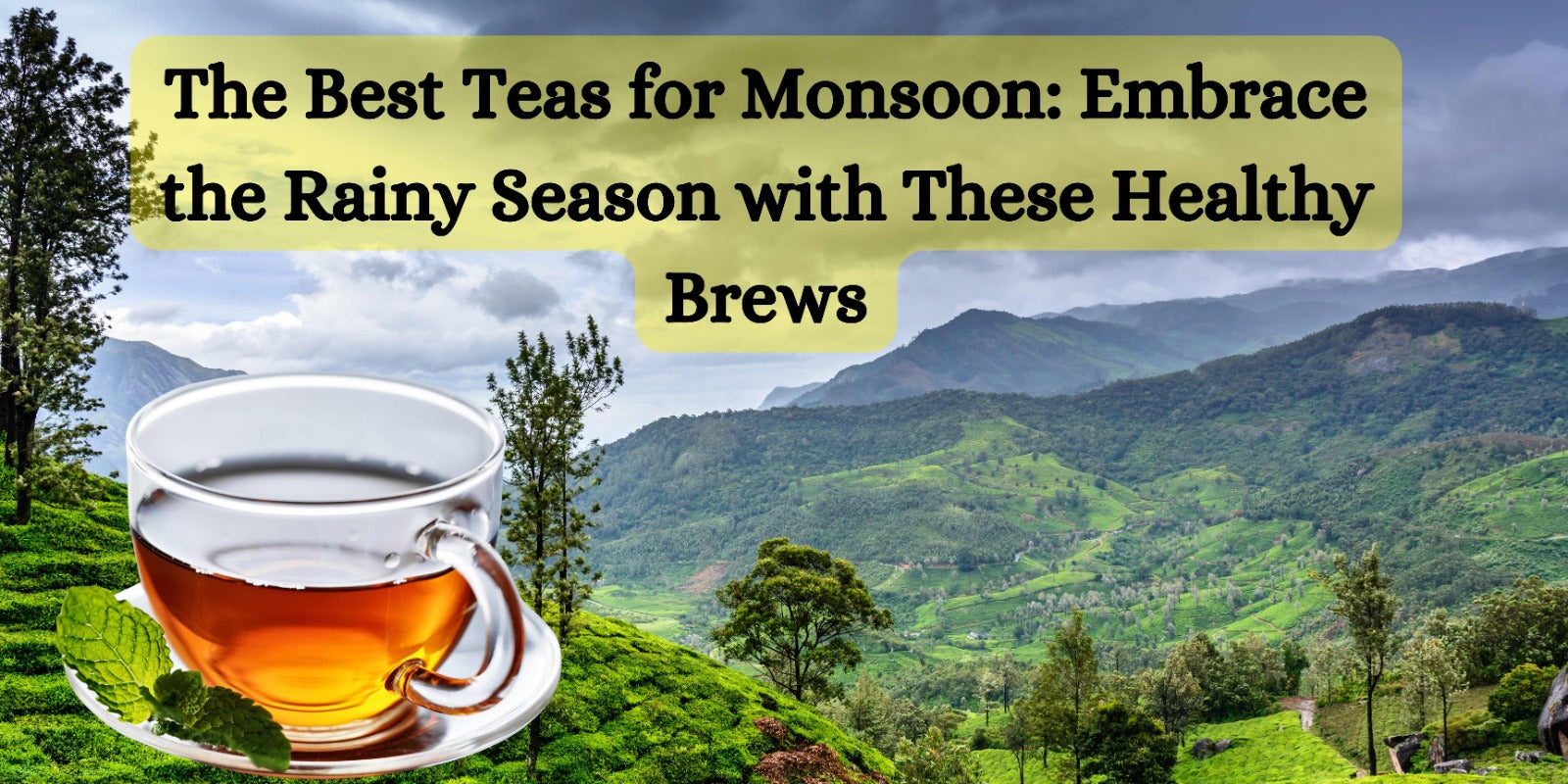 The Best Teas for Monsoon: Embrace the Rainy Season with These Healthy Brews