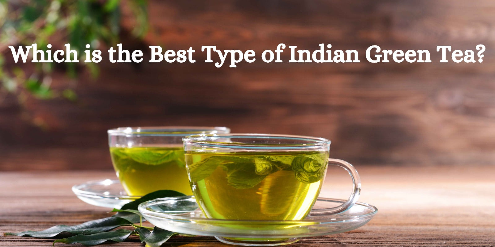 Which is the Best Type of Indian Green Tea?