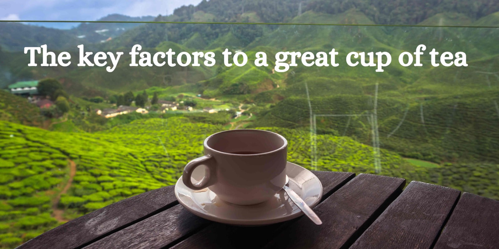 The key factors to a great cup of tea