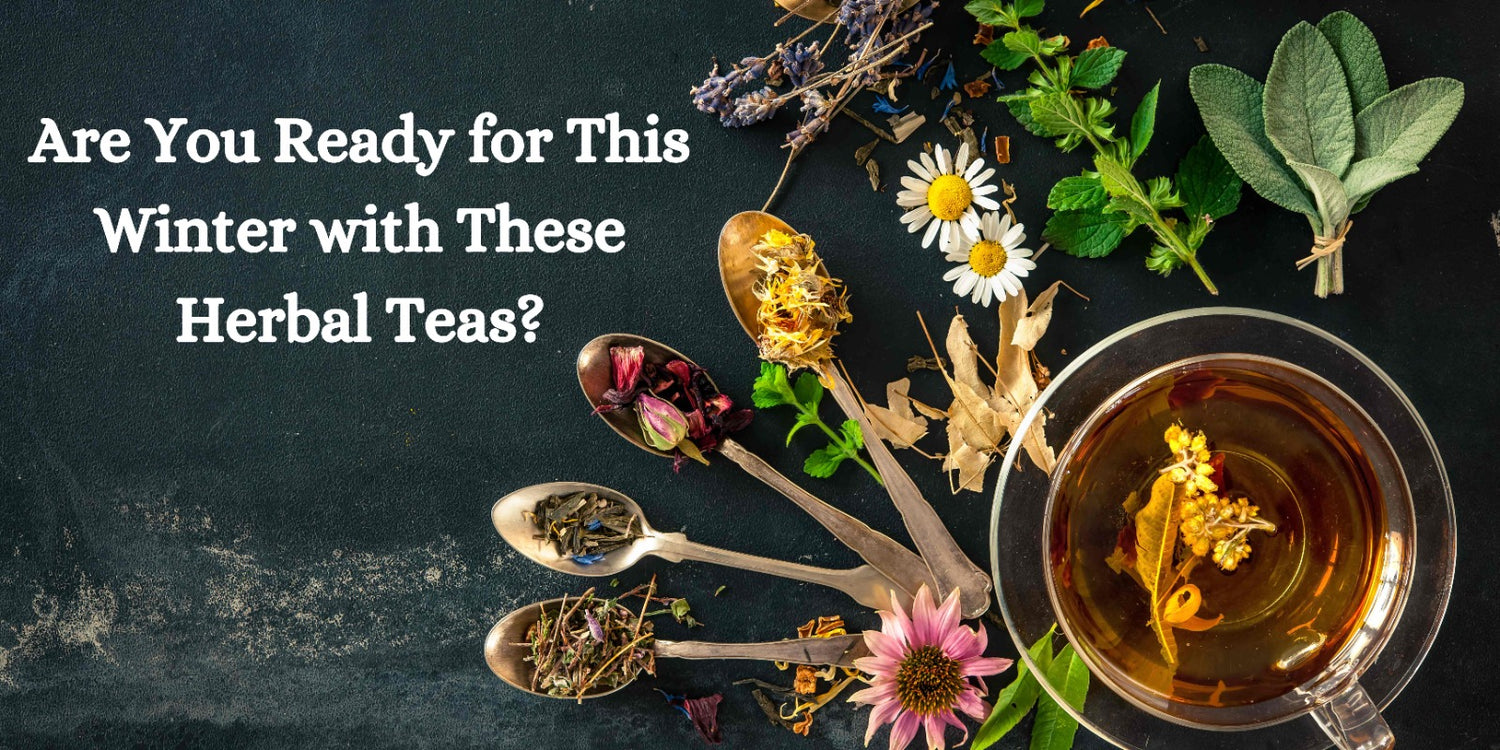 Are You Ready for This Winter with These Herbal Teas?