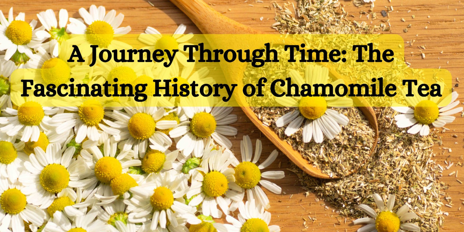 A Journey Through Time: The Fascinating History of Chamomile Tea