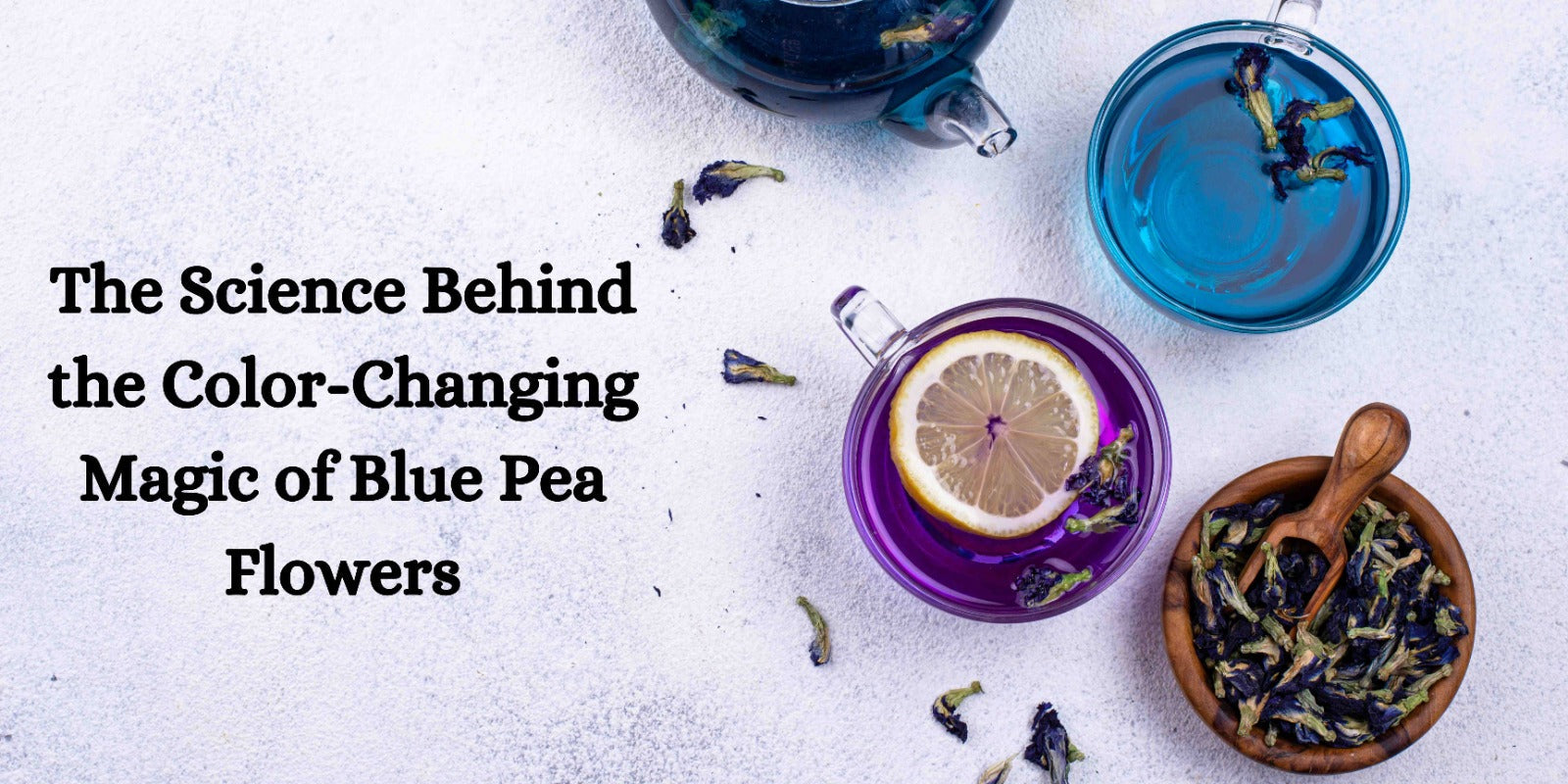 The Science Behind the Color-Changing Magic of Blue Pea Flowers