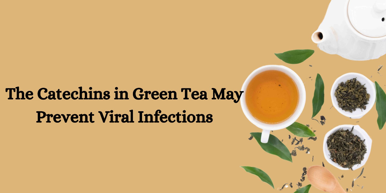 The Catechins in Green Tea May Prevent Viral Infections