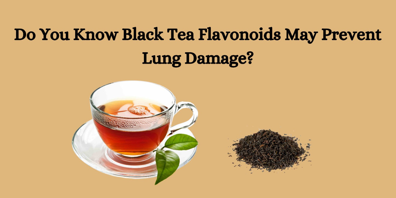 Do You Know Black Tea Flavonoids May Prevent Lung Damage?