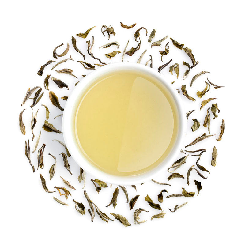 Darjeeling White Tea