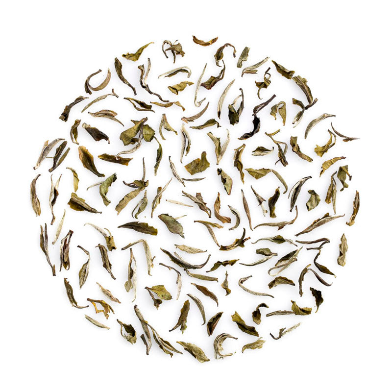 Darjeeling White Tea