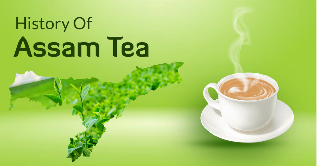 The Fascinating History of Assam Tea - uphaartea