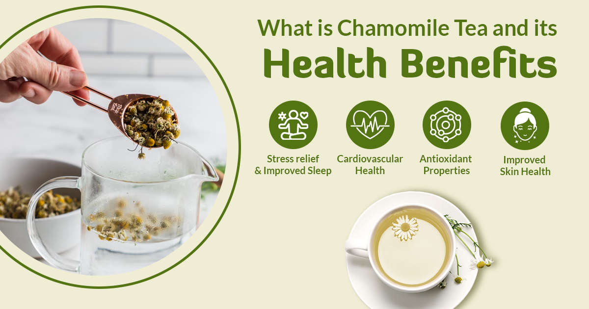 What is Chamomile Tea and Understanding Its health benefits