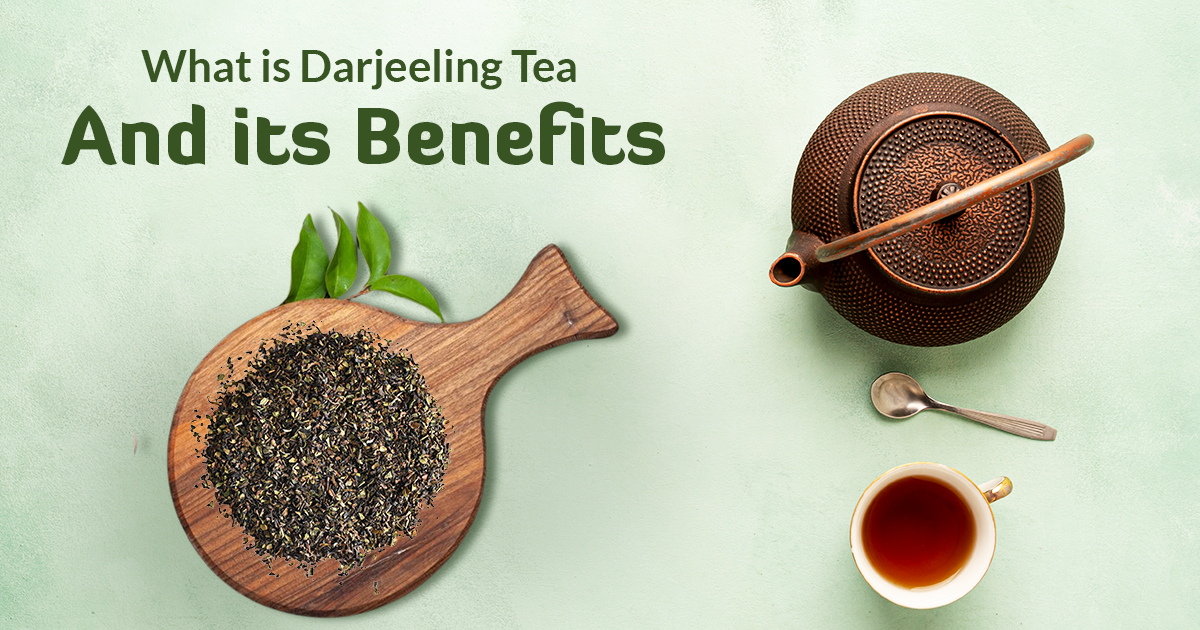 What is Darjeeling Tea: A Guide to the Famous Indian Tea