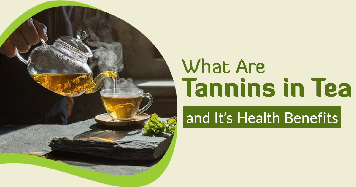 What Are Tannins in Tea and It’s Health Benefits