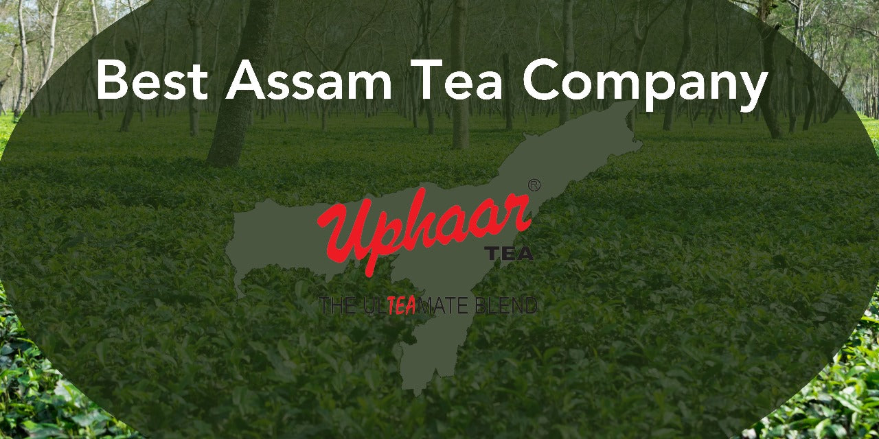 Best Assam Tea Company