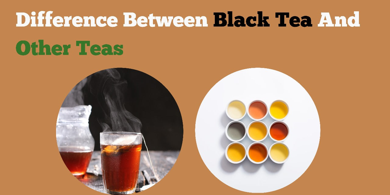 Difference Between Black Tea And Others Teas