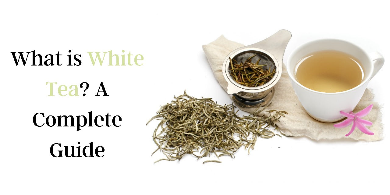 What is White Tea? A Complete Guide