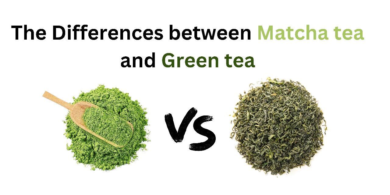 The Differences between Matcha Tea and Green Tea