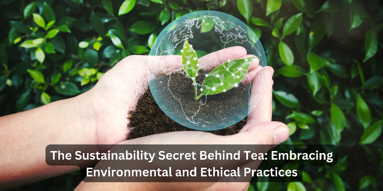 The Sustainability Secret Behind Tea: Embracing Environmental and Ethical Practices