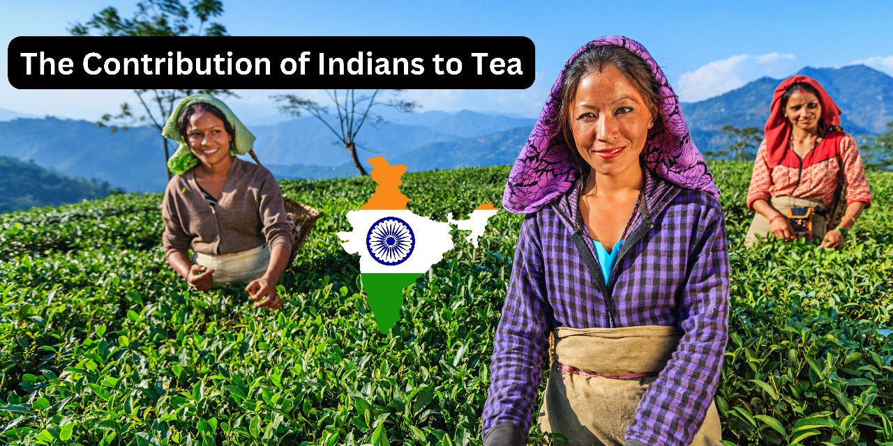 The Contribution of Indians to Tea
