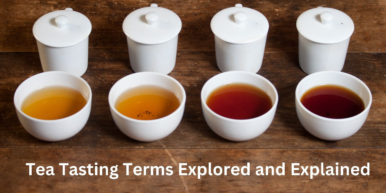 Tea Tasting Terms Explored and Explained