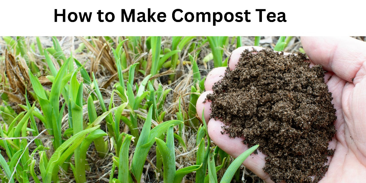 How to Make Compost Tea: The Tea Elixir for Plants