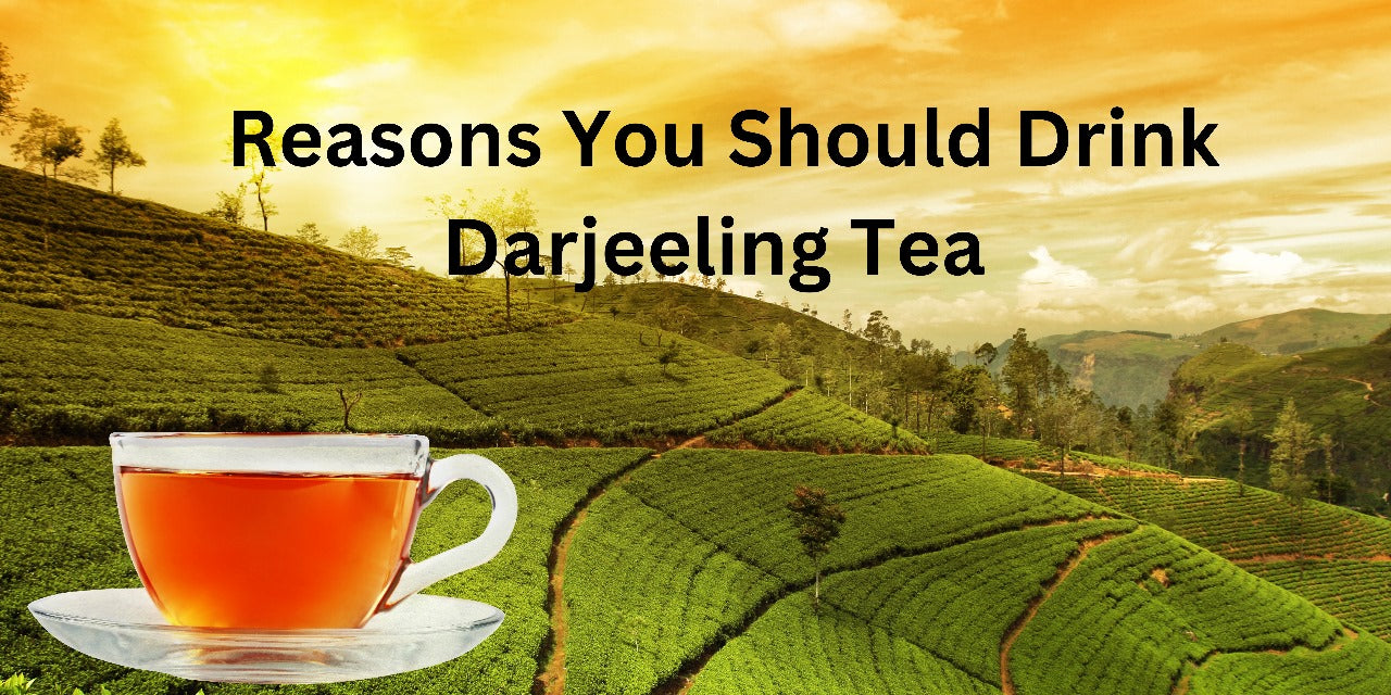 Reasons You Should Drink Darjeeling Tea