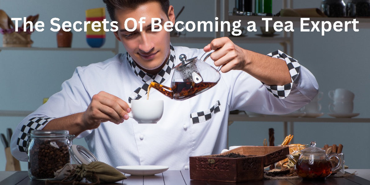 Becoming Tea The Secrets Of Becoming a Tea Expert