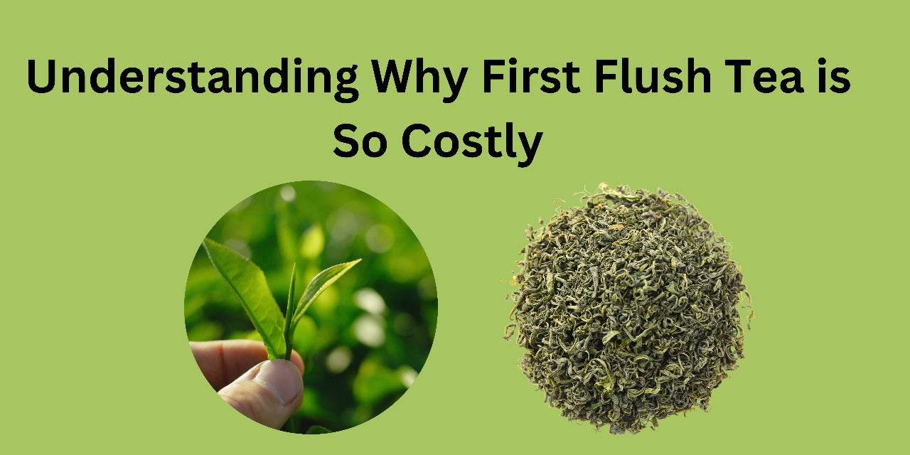 Understanding Why First Flush Tea is So Costly