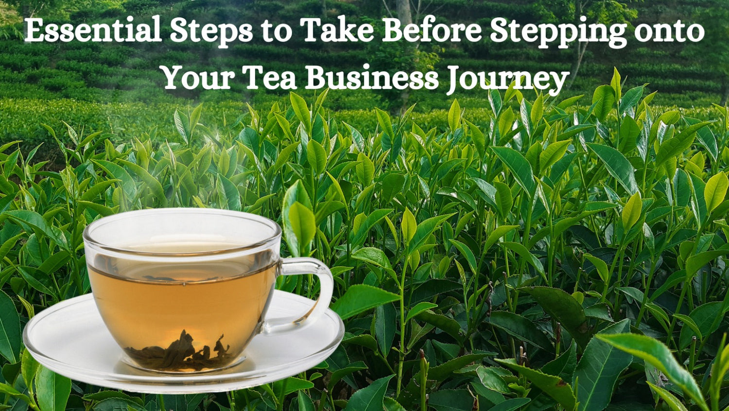 Essential Steps to Take Before Stepping onto Your Tea Business Journey