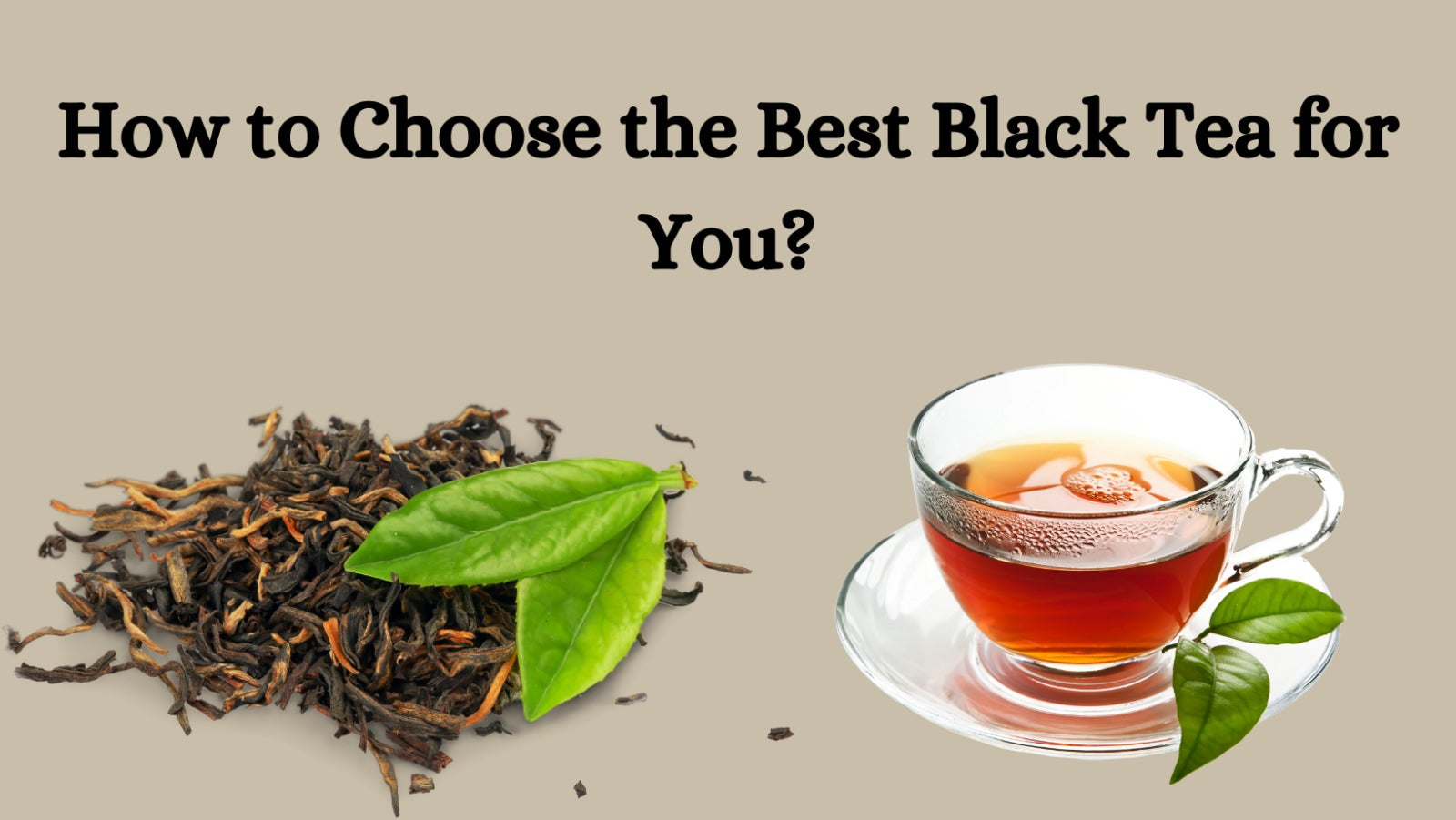How to Choose the Best Black Tea for You?