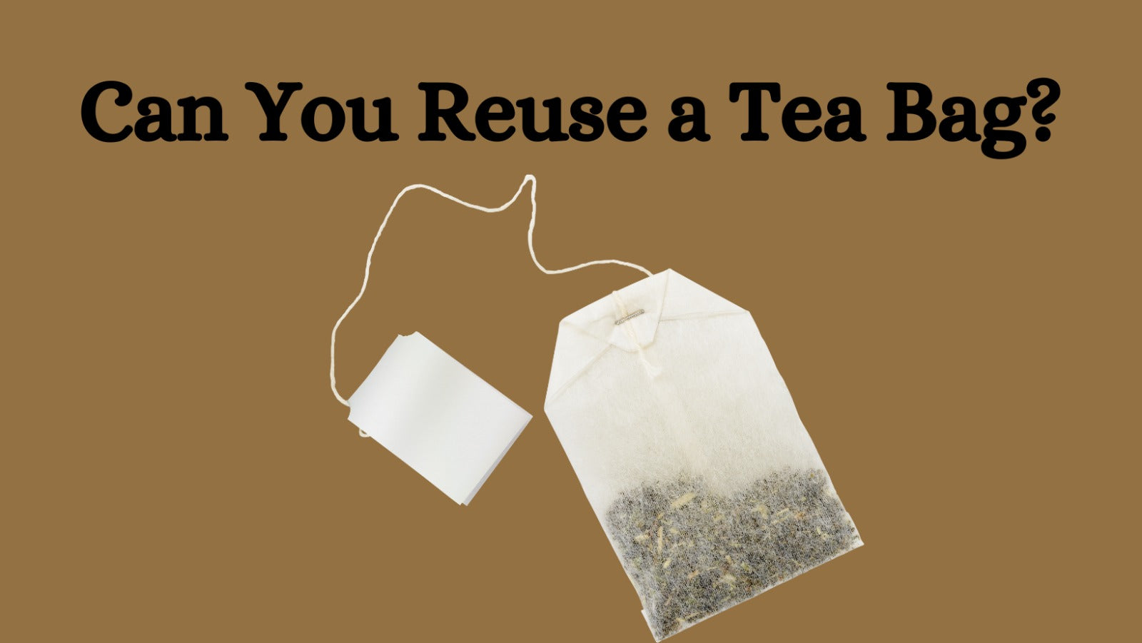 Can You Reuse a Tea Bag?