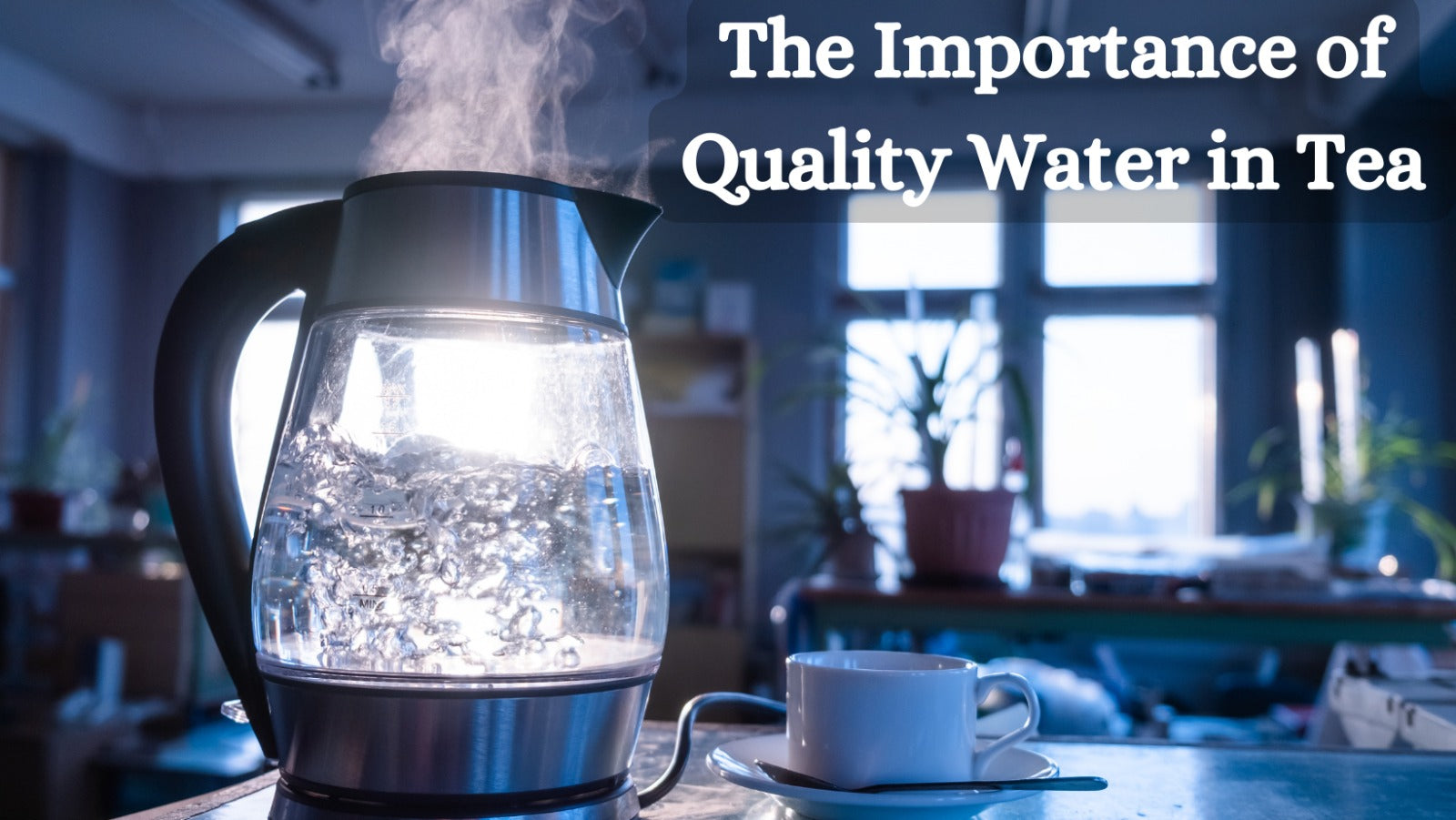 The Importance of Quality Water in Tea