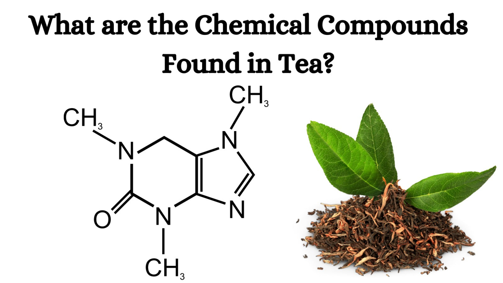 What are the Chemical Compounds Found in Tea?