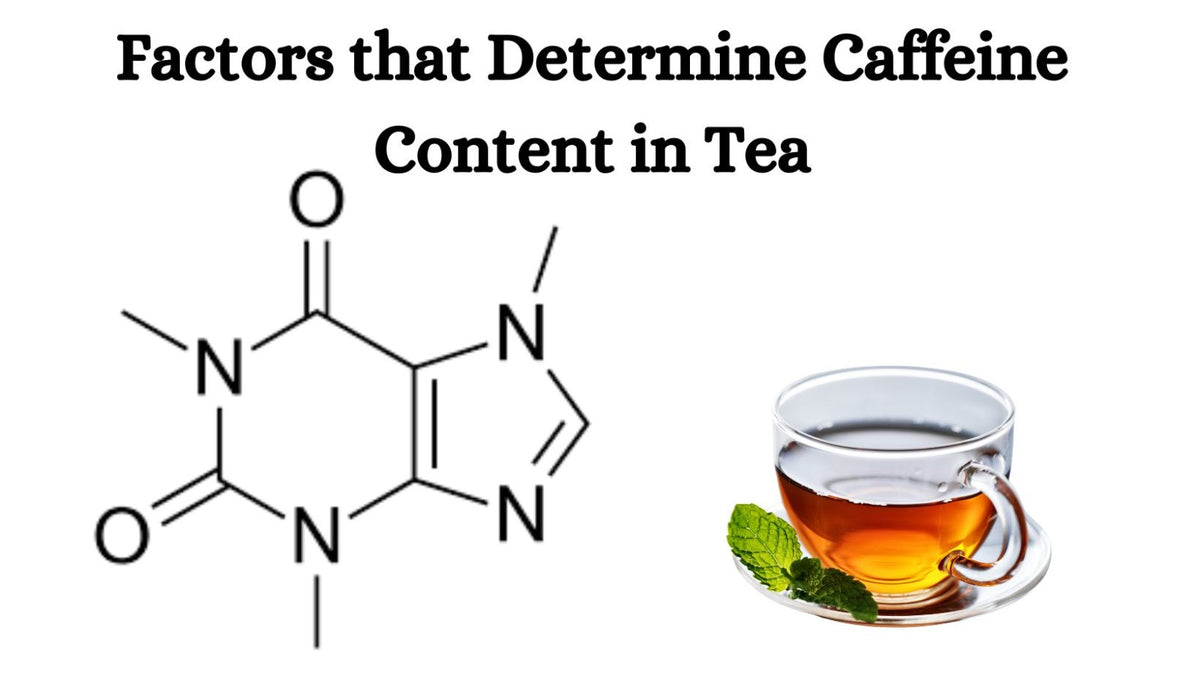 Caffeine In Tea Sample Factors that Determine Caffeine Content in Tea