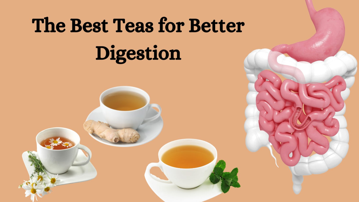 The Best Teas for Better Digestion