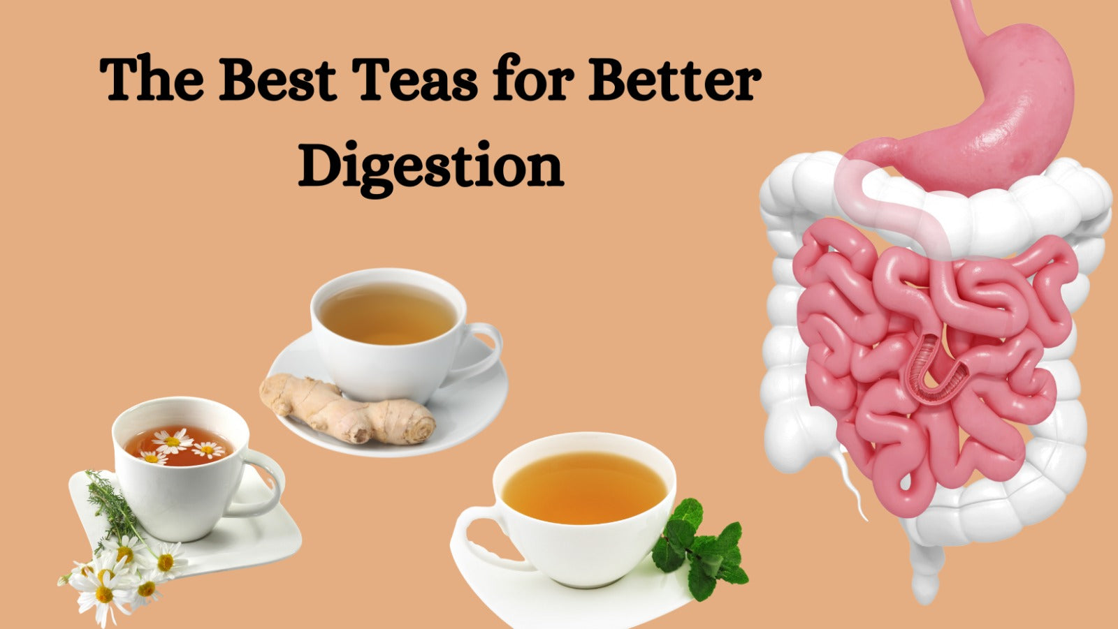 The Best Teas for Better Digestion