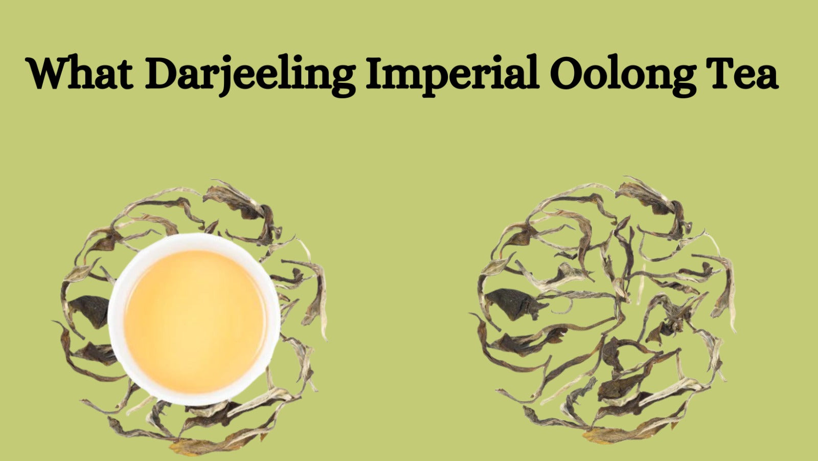 What Darjeeling Imperial Oolong Tea