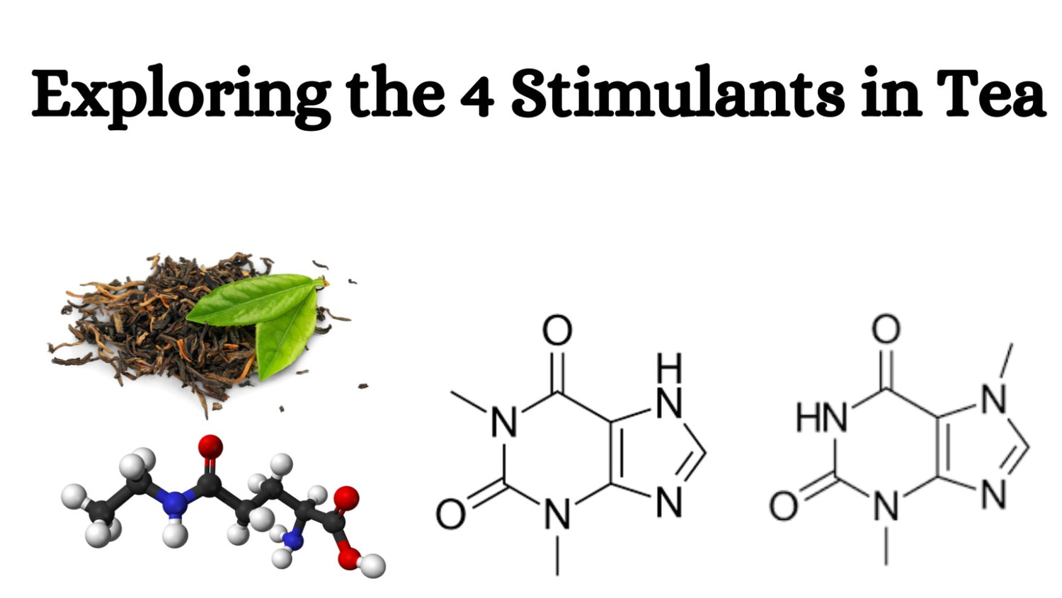 Exploring the 4 Stimulants in Tea