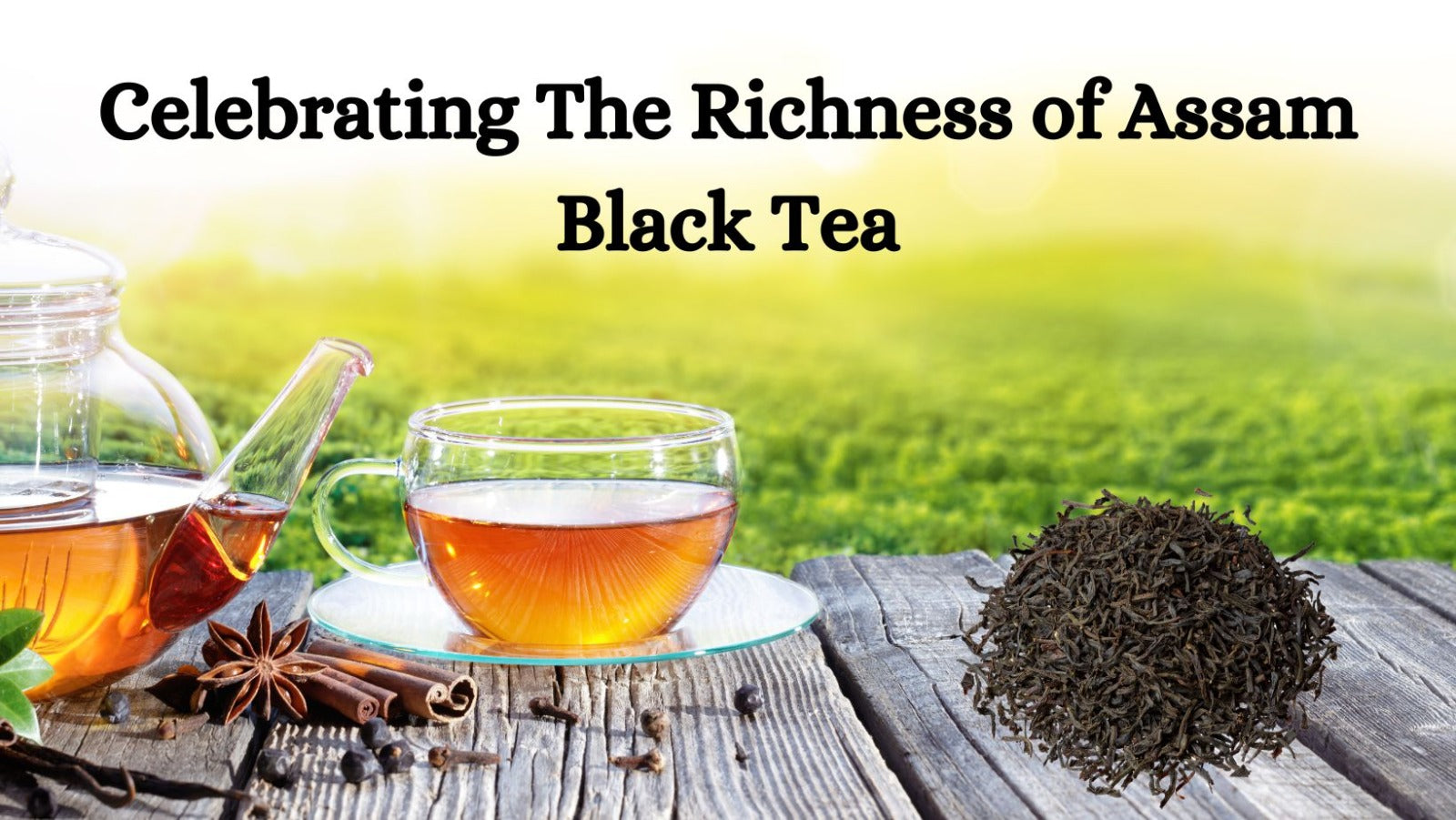 Celebrating The Richness of Assam Black Tea