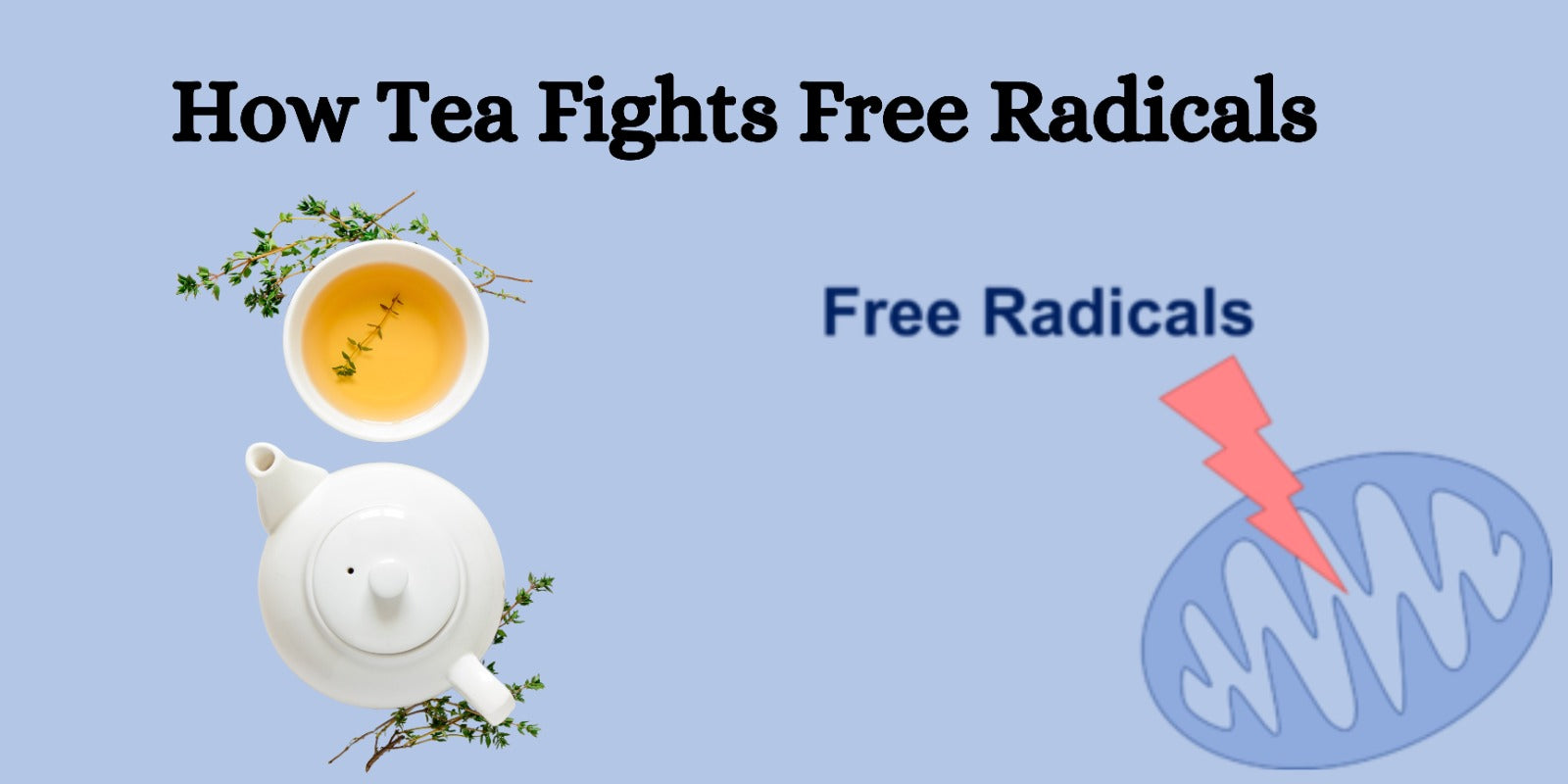 How Tea Fights Free Radicals