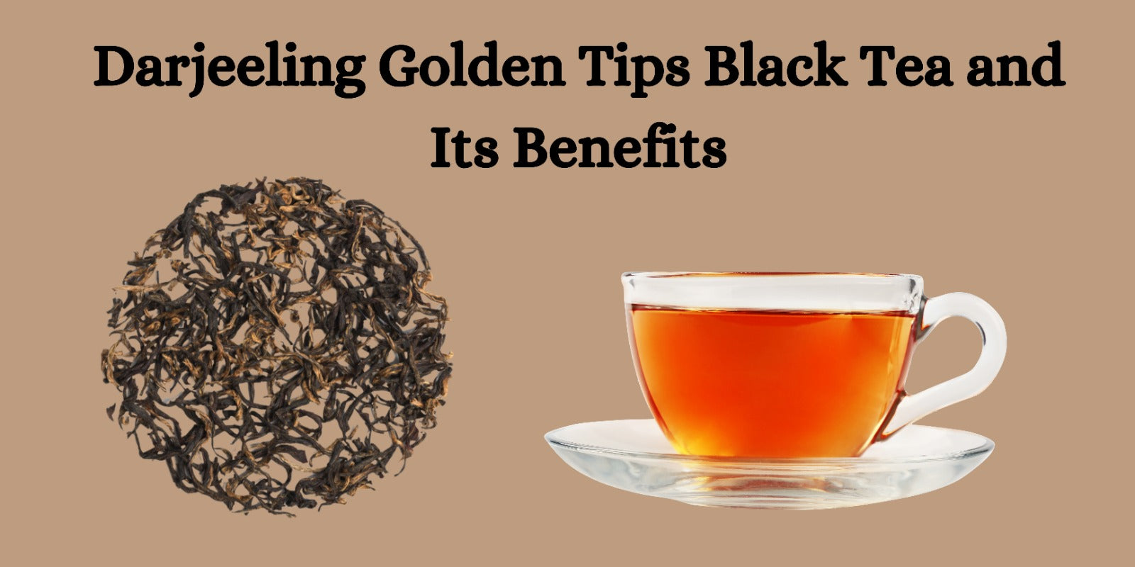 Darjeeling Golden Tips Black Tea and Its Benefits