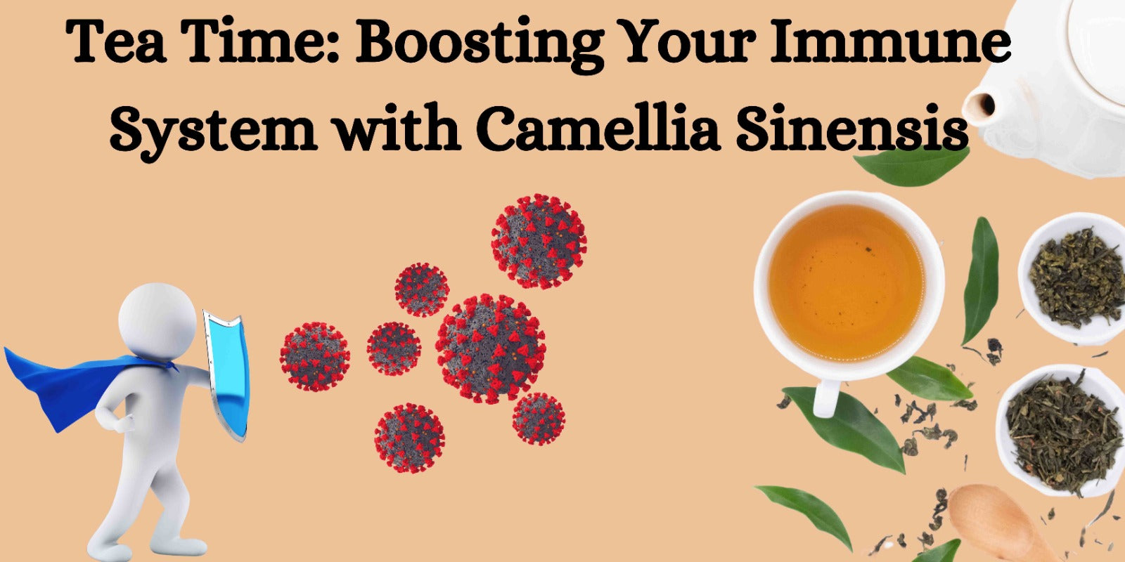 Tea Time: Boosting Your Immune System with Camellia Sinensis