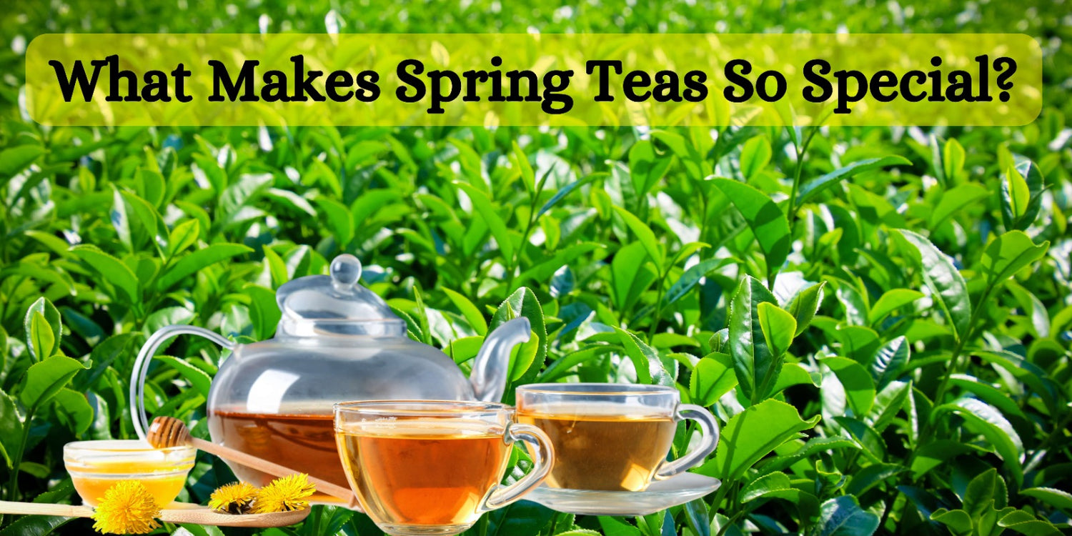 What Makes Spring Teas So Special?