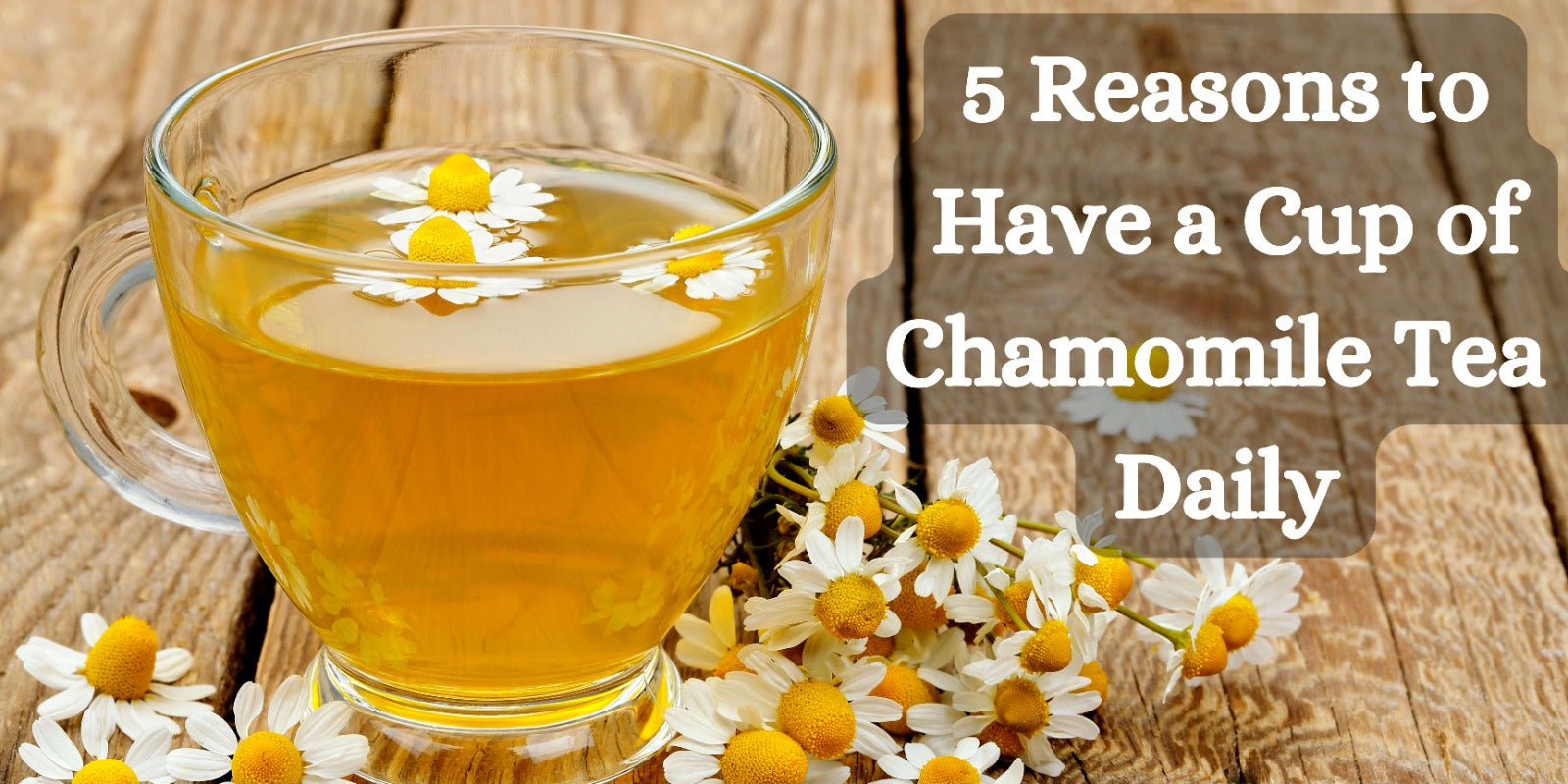 5 Reasons to Have a Cup of Chamomile Tea Daily