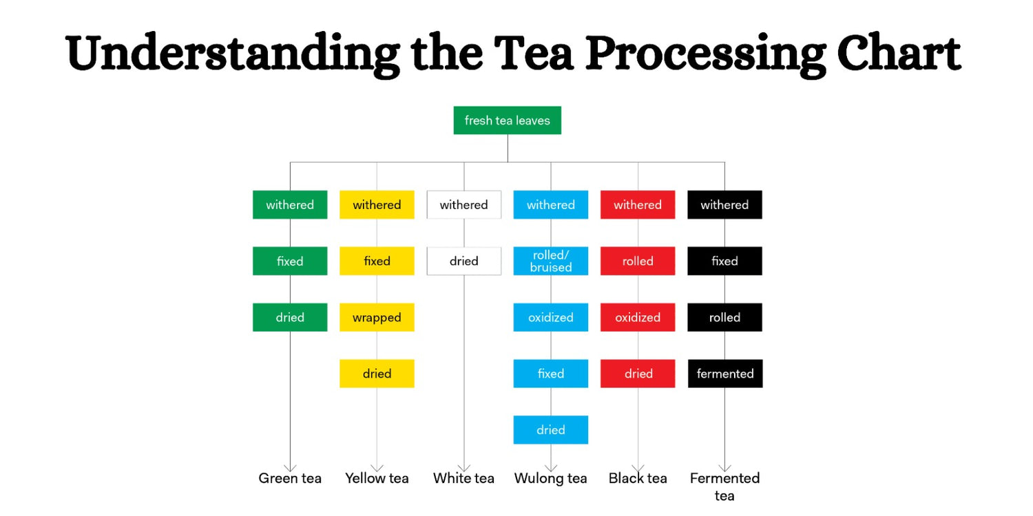 Understanding the Tea Processing Chart