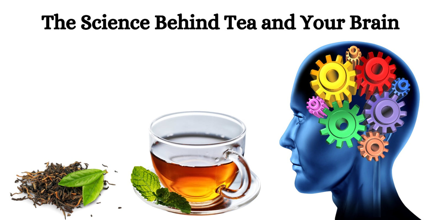 The Science Behind Tea and Your Brain