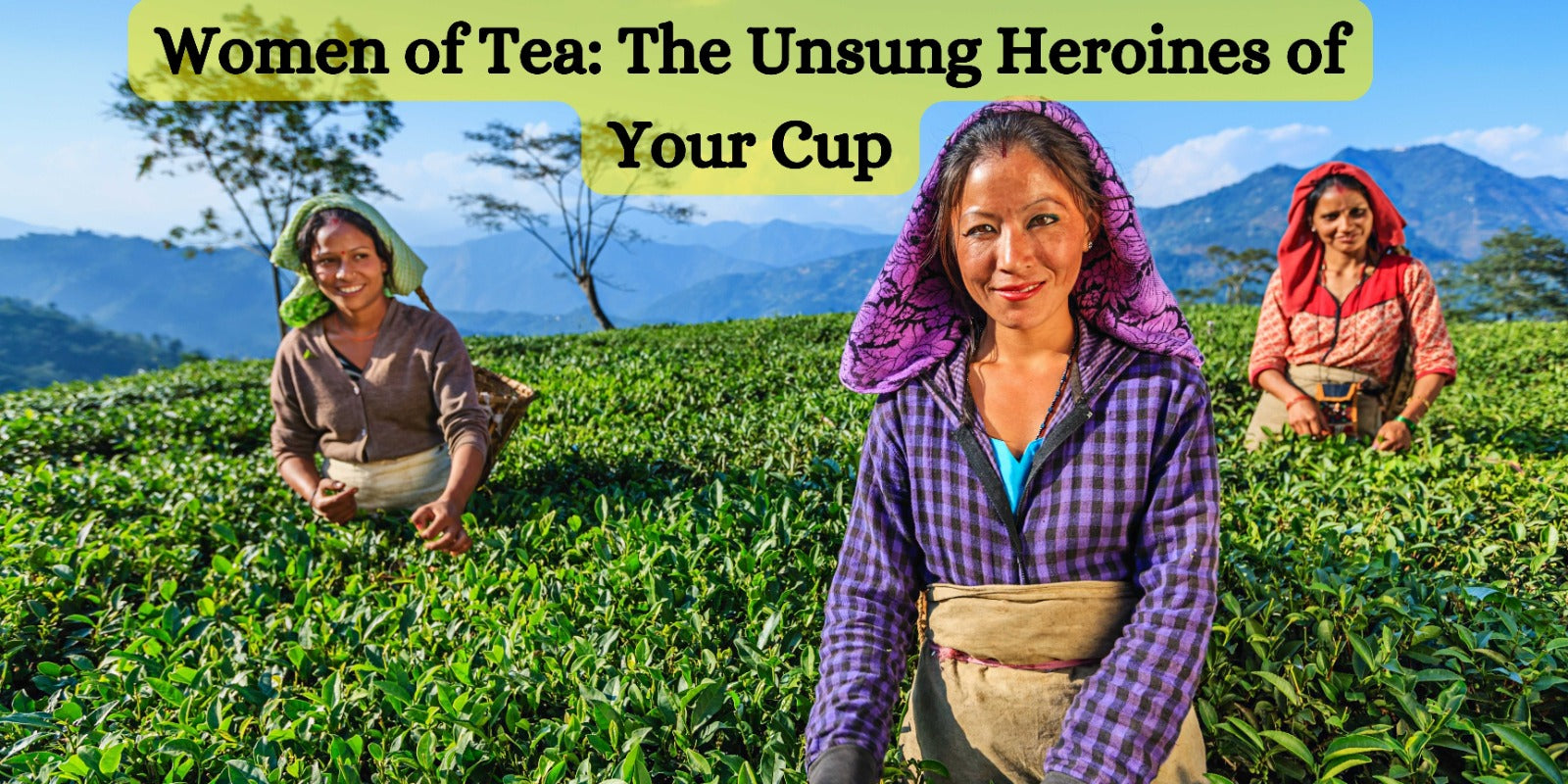 Women of Tea: The Unsung Heroines of Your Cup
