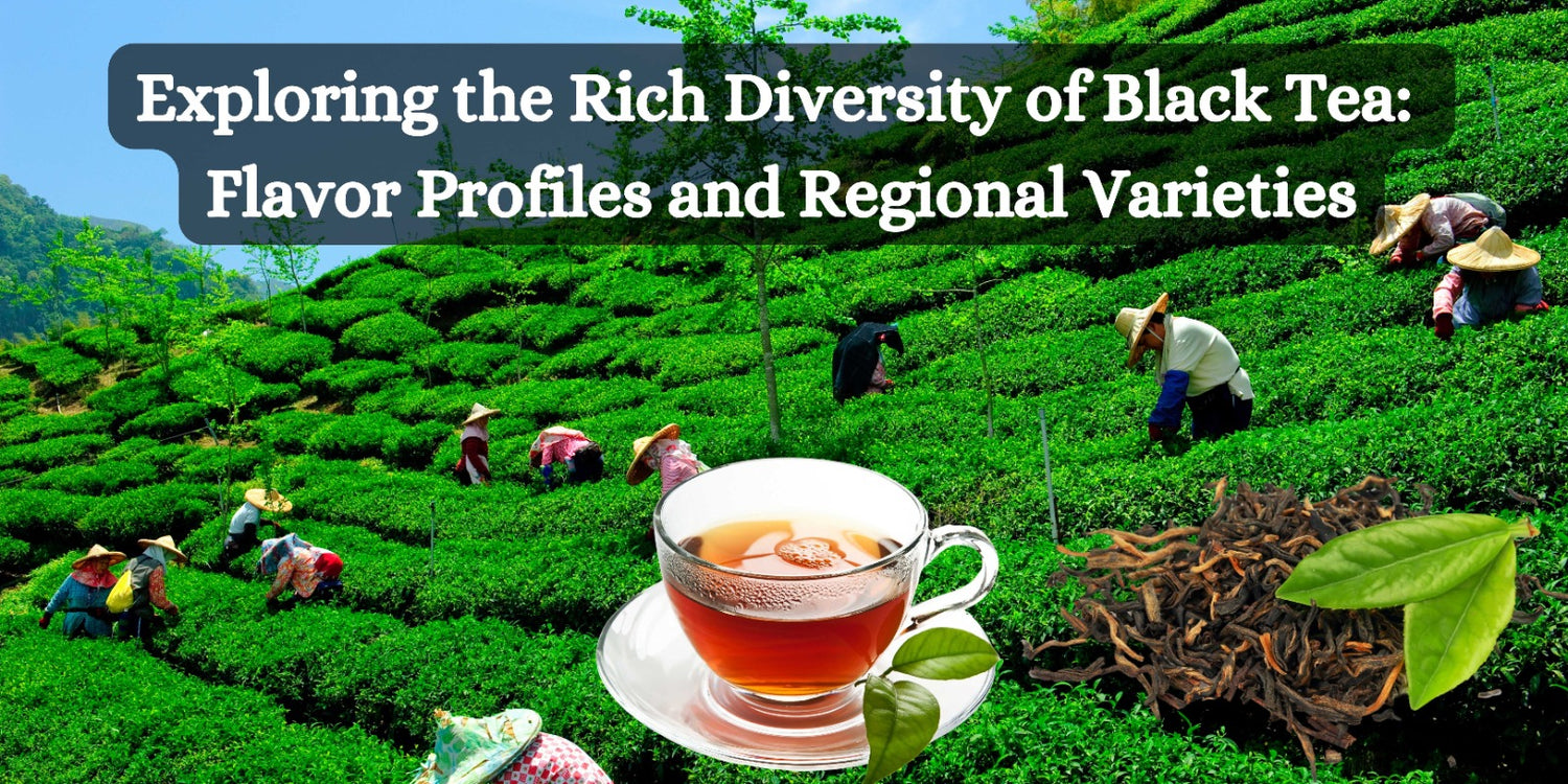 Exploring the Rich Diversity of Black Tea:  Flavor Profiles and Regional Varieties