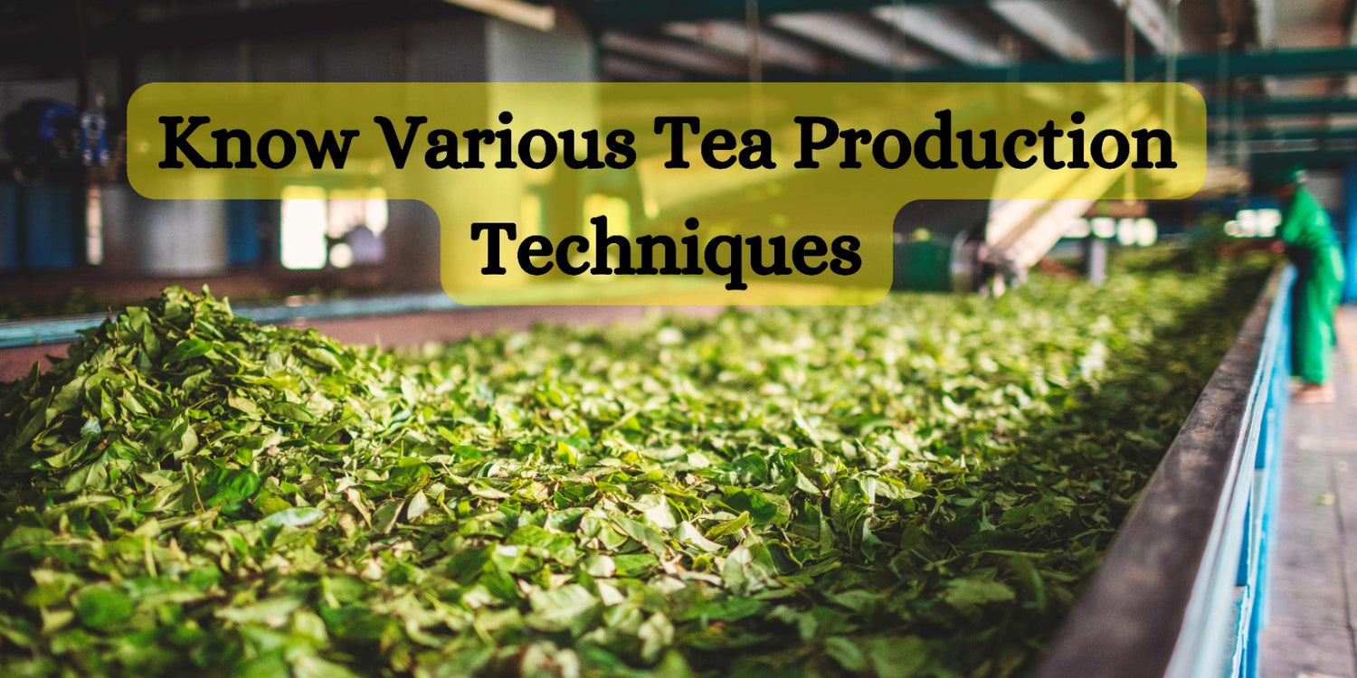 Know Various Tea Production Techniques