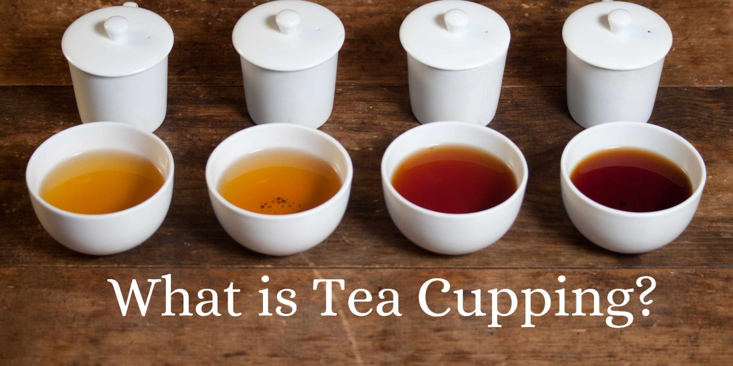 What is Tea Cupping?