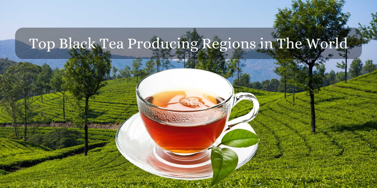 Top Black Tea Producing Regions in The World