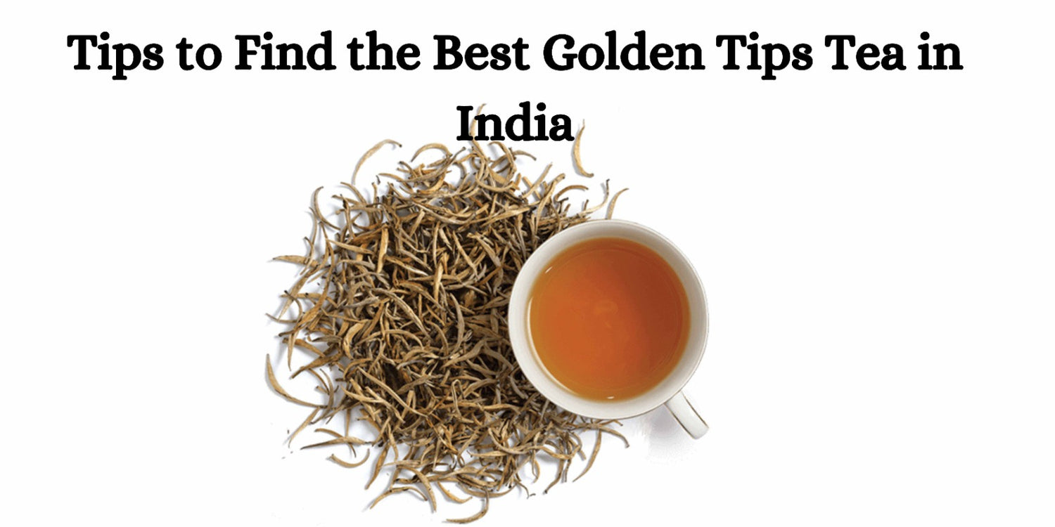 Tips to Find the Best Golden Tips Tea in India